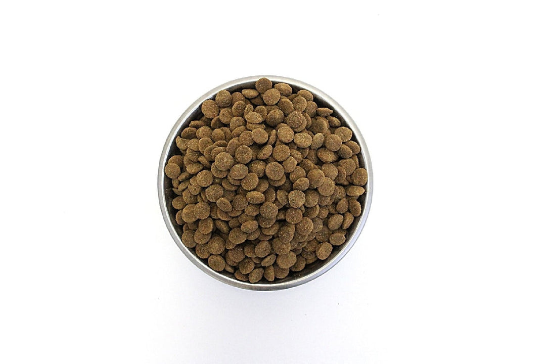 Hypro Premium Adult Kangaroo & Lamb 2.5kg-Dog Food-Ascot Saddlery