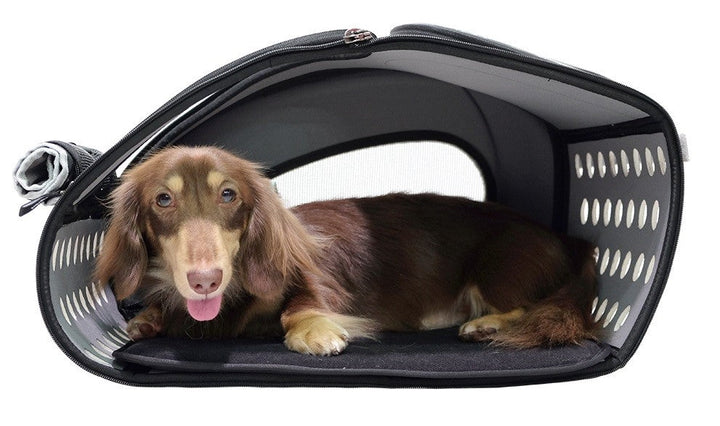 Ibiyaya Eva Pet Carrier And Stroller 5in1 Combo Tangerine-Dog Kennels Carriers & Pens-Ascot Saddlery