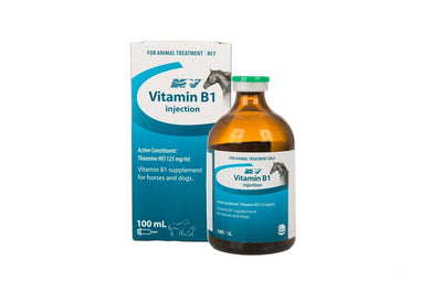 Injectable B1 Ceva 100ml-STABLE: Supplements-Ascot Saddlery