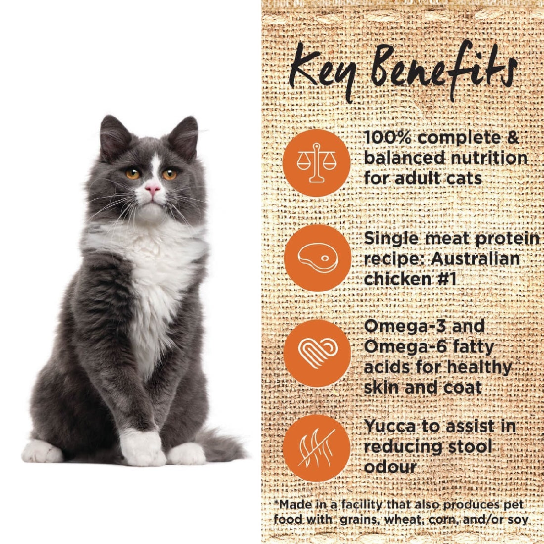 Ivory Coat Cat Grainfree Chicken & Coconut Oil 4kg-Cat Food & Treats-Ascot Saddlery