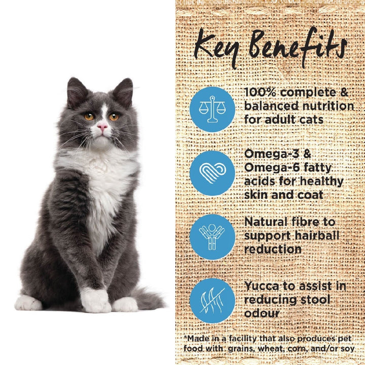 Ivory Coat Cat Grainfree Ocean Fish & Salmon 4kg-Cat Food & Treats-Ascot Saddlery