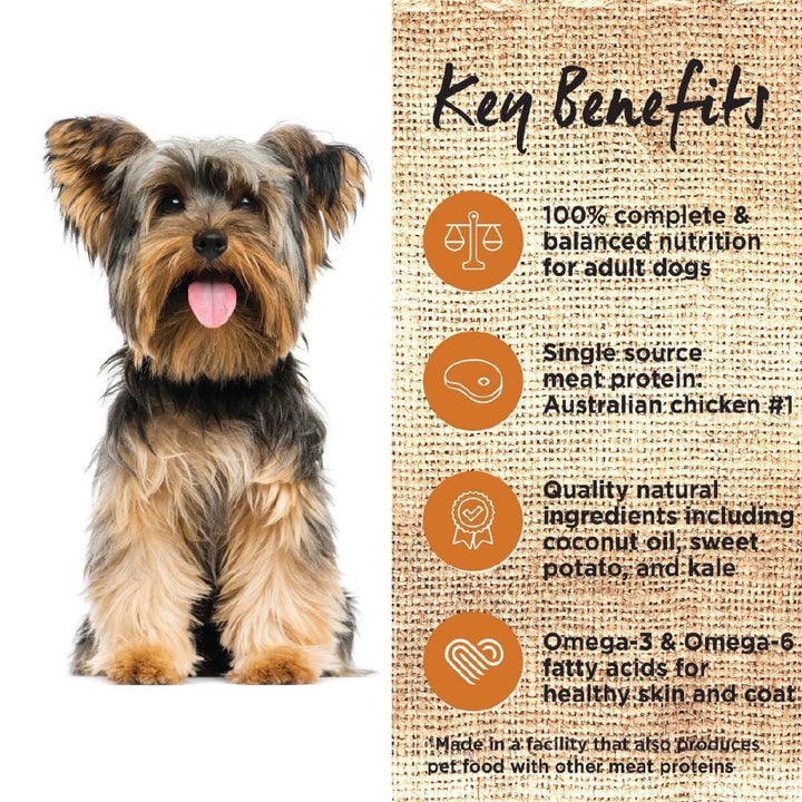 Ivory Coat Dog Grainfree Chicken & Coconut Oil 13kg-Dog Food-Ascot Saddlery