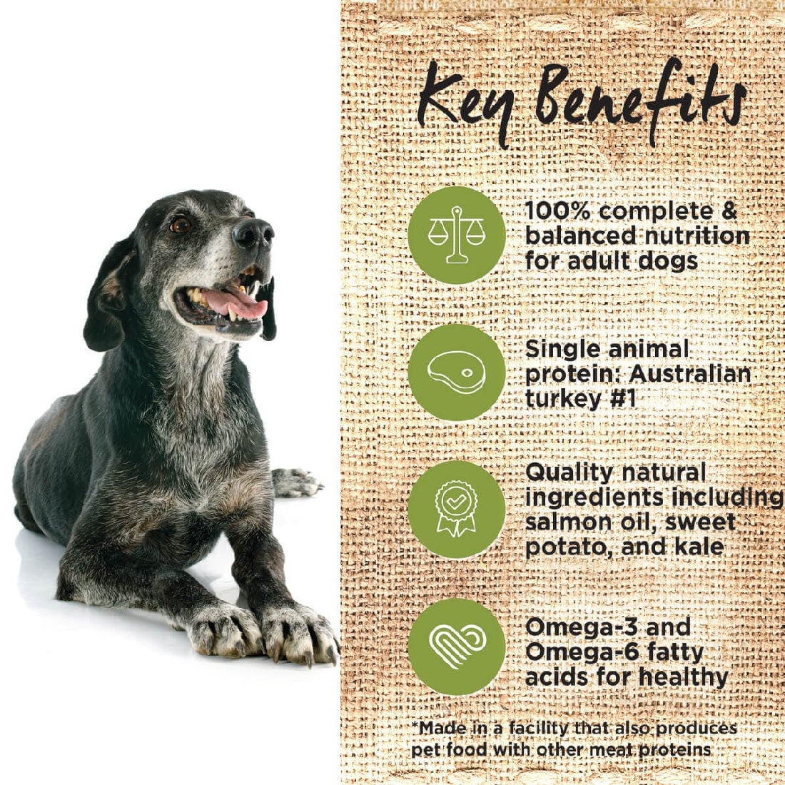 Ivory Coat Dog Grainfree Fat Reduced Turkey 13kg-Dog Food-Ascot Saddlery
