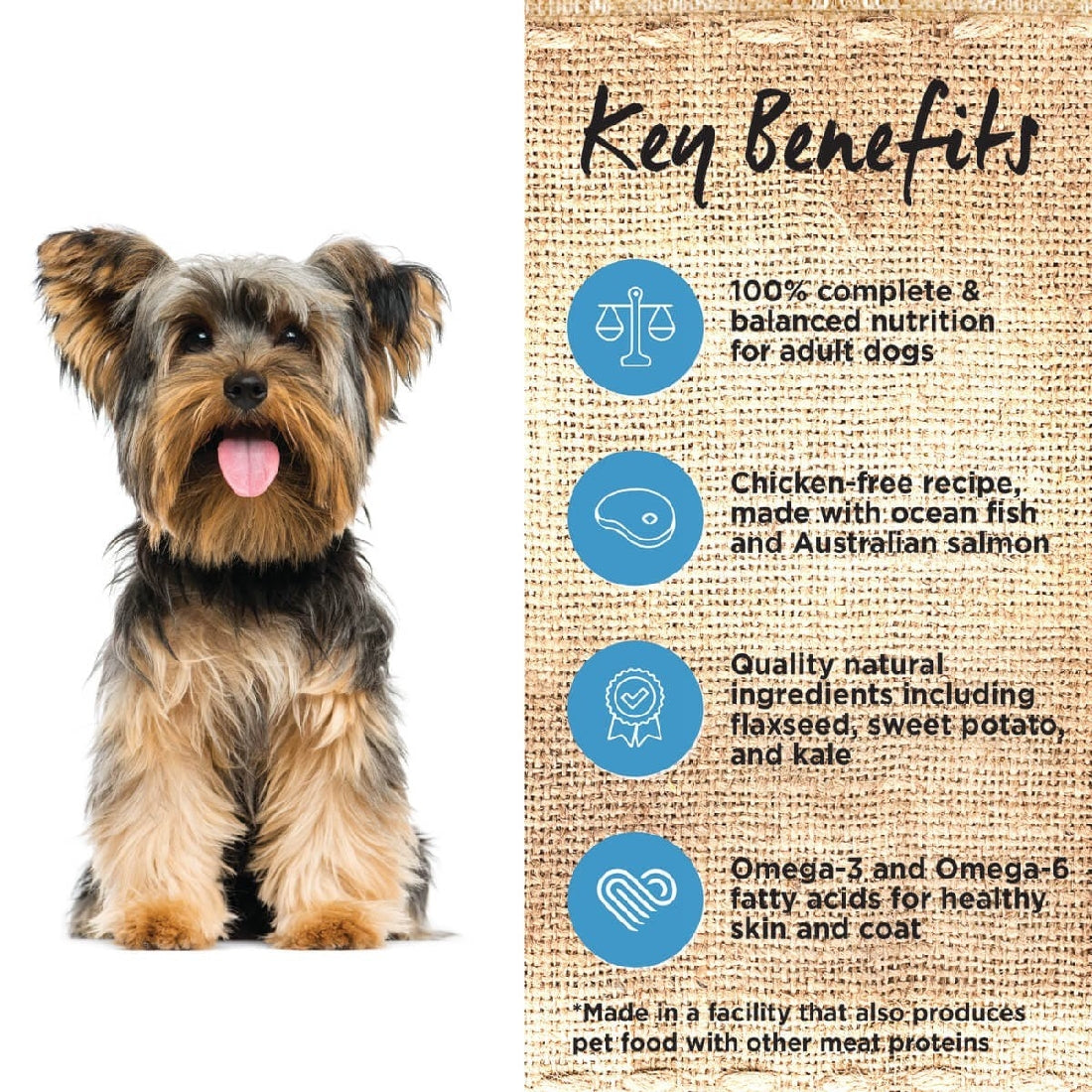Ivory Coat Dog Grainfree Ocean Fish & Salmon 2kg-Dog Food-Ascot Saddlery