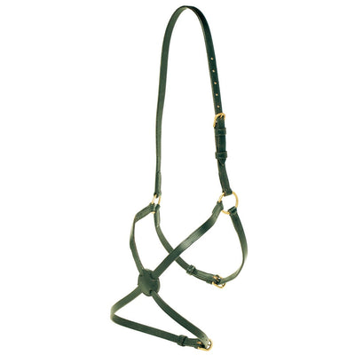 Jeremy & Lord Noseband Figure 8 Leather Black-HORSE: Nosebands & Browbands-Ascot Saddlery