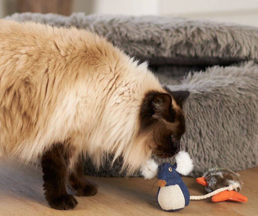 Kazoo Cat Toy Big Ears Mouse-Cat Gyms & Toys-Ascot Saddlery