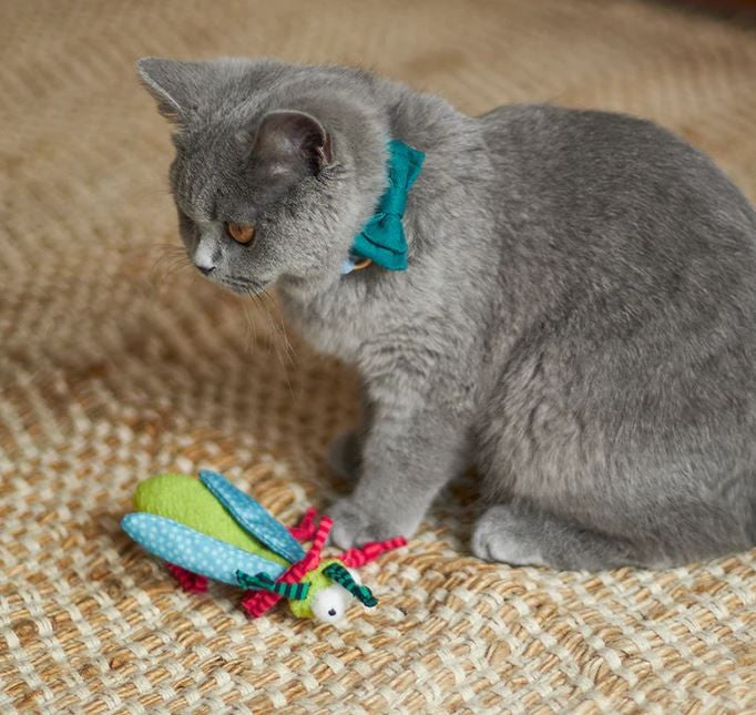 Kazoo Cat Toy Crinkle Bug-Cat Gyms & Toys-Ascot Saddlery