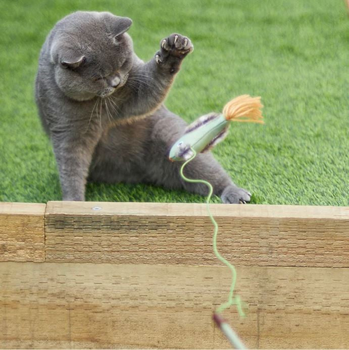 Kazoo Cat Toy Fantail Bird Wand-Cat Gyms & Toys-Ascot Saddlery