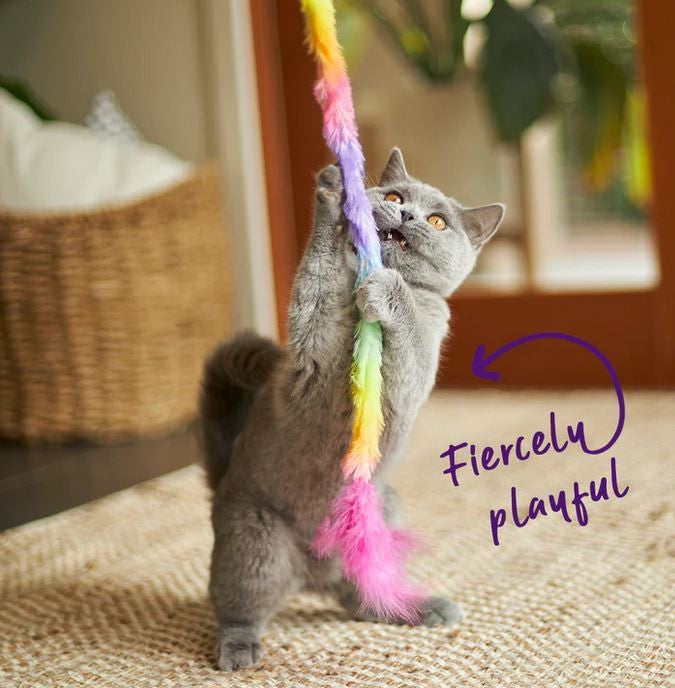 Kazoo Cat Toy Fluffy Rainbow Tail-Cat Gyms & Toys-Ascot Saddlery