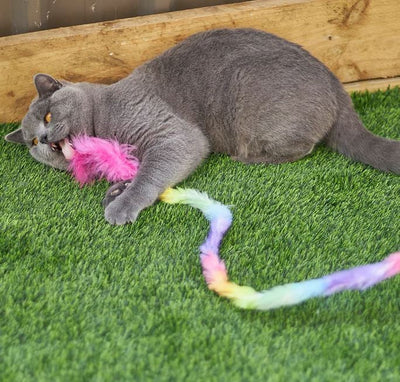 Kazoo Cat Toy Fluffy Rainbow Tail-Cat Gyms & Toys-Ascot Saddlery