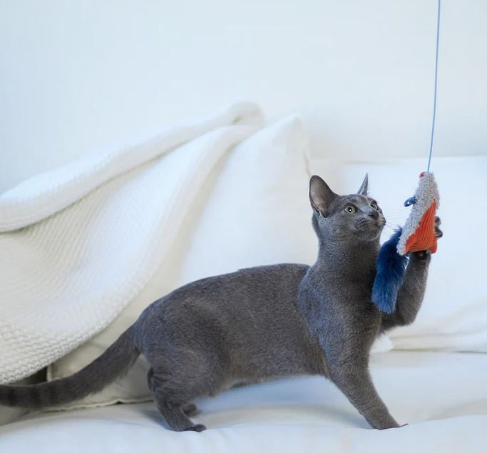 Kazoo Cat Toy Flying Mouse Wand-Cat Gyms & Toys-Ascot Saddlery