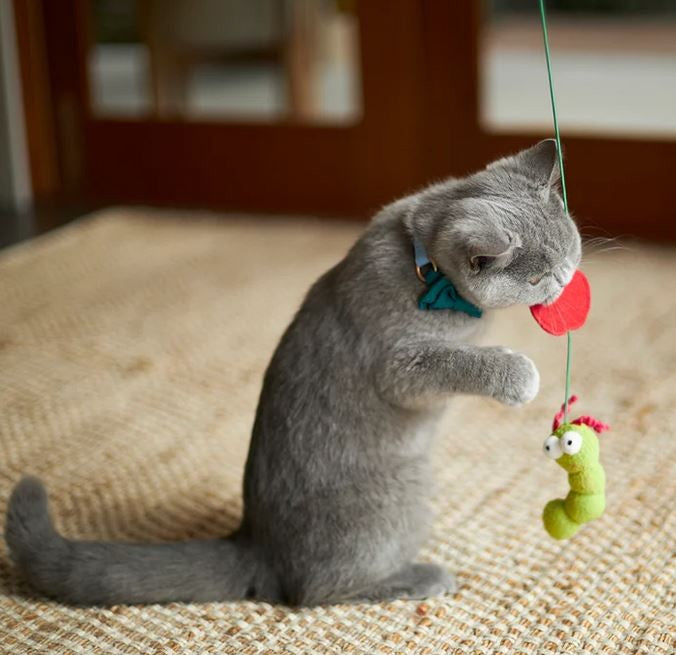 Kazoo Cat Toy Hungry Caterpillar-Cat Gyms & Toys-Ascot Saddlery