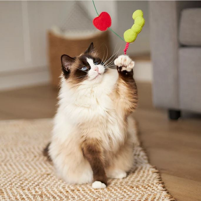 Kazoo Cat Toy Hungry Caterpillar-Cat Gyms & Toys-Ascot Saddlery