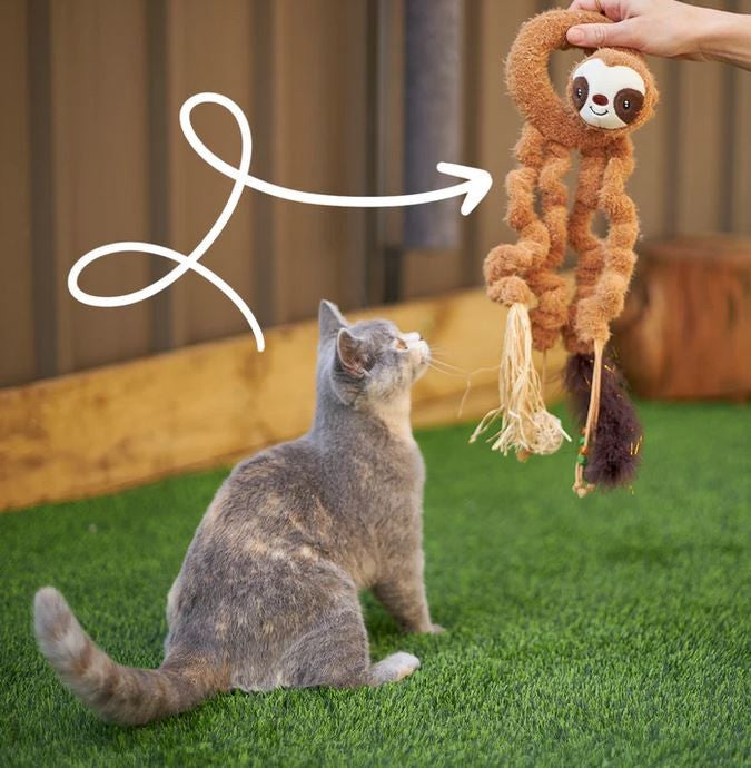 Kazoo Cat Toy Long Legged Sloth-Cat Gyms & Toys-Ascot Saddlery
