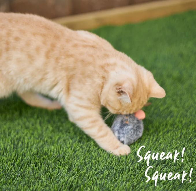 Cat Toy Kazoo Noisy Mouse