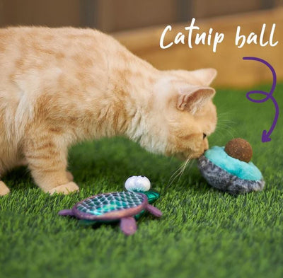 Kazoo Cat Toy Playful Avocado-Cat Gyms & Toys-Ascot Saddlery