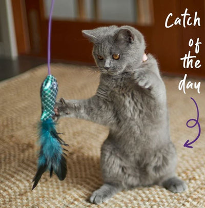 Kazoo Cat Toy Ripple Fish Wand-Cat Gyms & Toys-Ascot Saddlery