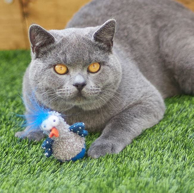 Kazoo Cat Toy Wobble Duck-Cat Gyms & Toys-Ascot Saddlery