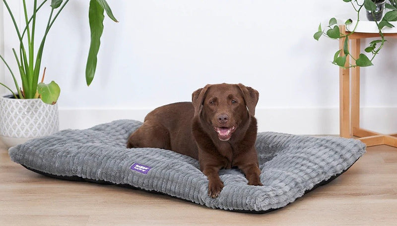 Kazoo Dog Bed Cloud Cushion Cool Grey Large-Dog Bedding-Ascot Saddlery