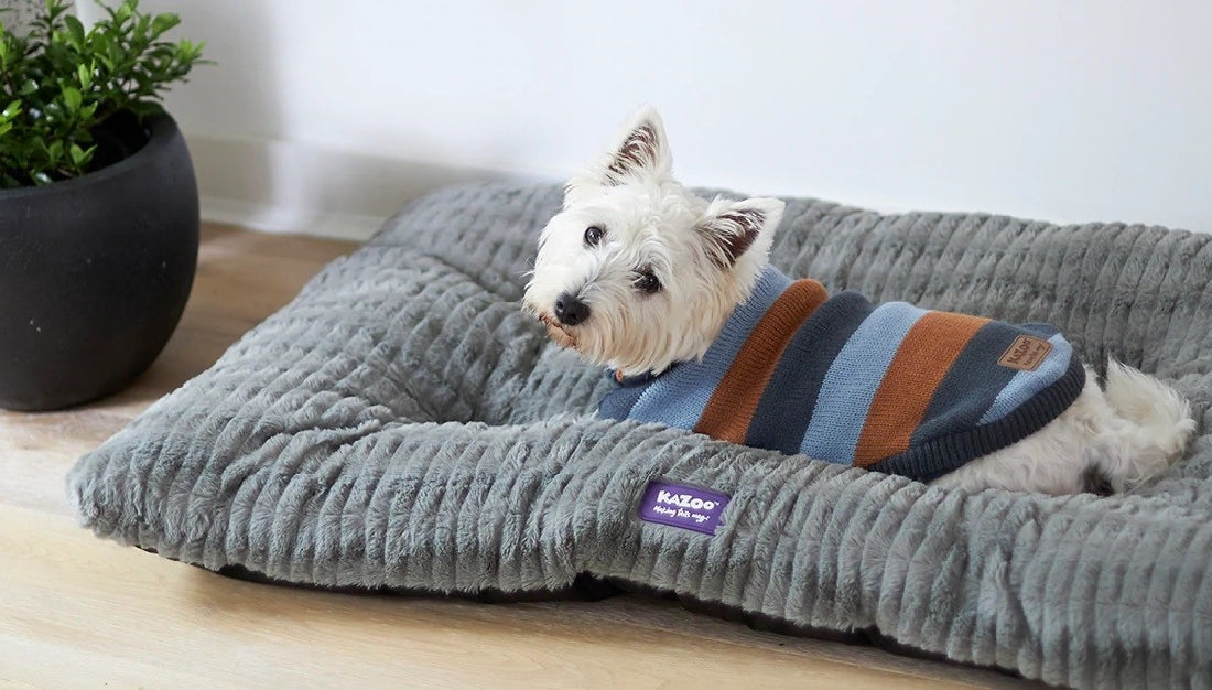 Kazoo Dog Bed Cloud Cushion Cool Grey Medium-Dog Bedding-Ascot Saddlery