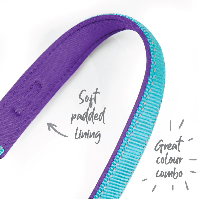 Kazoo Dog Collar Active Adjustable Aqua & Purple-Dog Collars & Leads-Ascot Saddlery