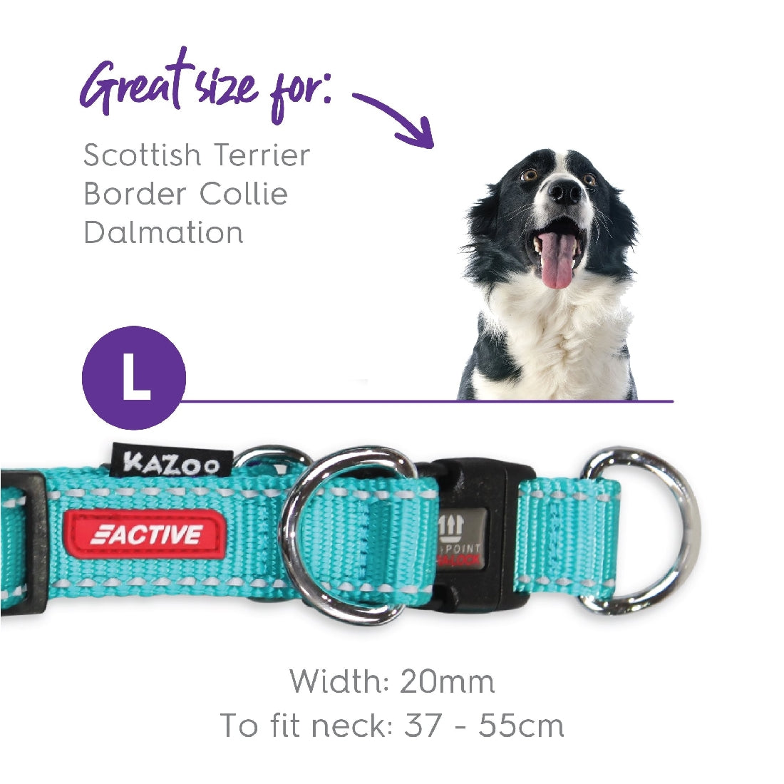 Kazoo Dog Collar Active Adjustable Aqua & Purple-Dog Collars & Leads-Ascot Saddlery