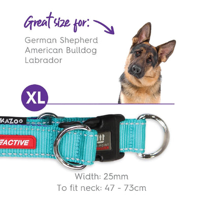 Kazoo Dog Collar Active Adjustable Aqua & Purple-Dog Collars & Leads-Ascot Saddlery