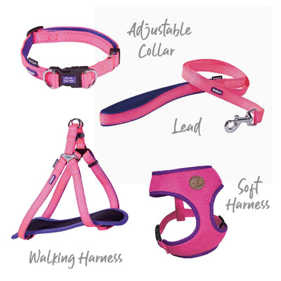 Kazoo Dog Collar Active Adjustable Bloom Burst-Dog Collars & Leads-Ascot Saddlery