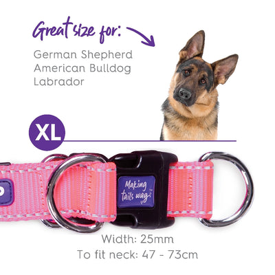 Kazoo Dog Collar Active Adjustable Bloom Burst-Dog Collars & Leads-Ascot Saddlery