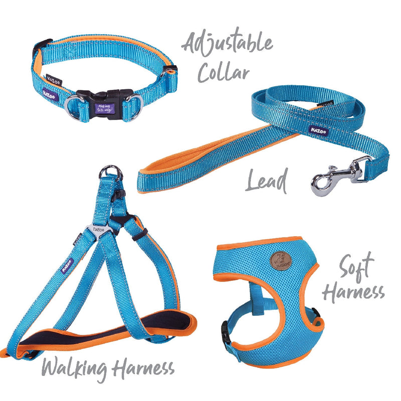 Kazoo Dog Collar Active Adjustable Ocean Sunrise-Dog Collars & Leads-Ascot Saddlery