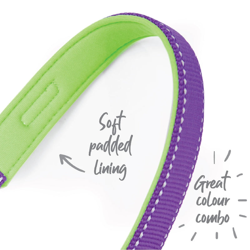 Kazoo Dog Collar Active Adjustable Purple & Lime-Dog Collars & Leads-Ascot Saddlery