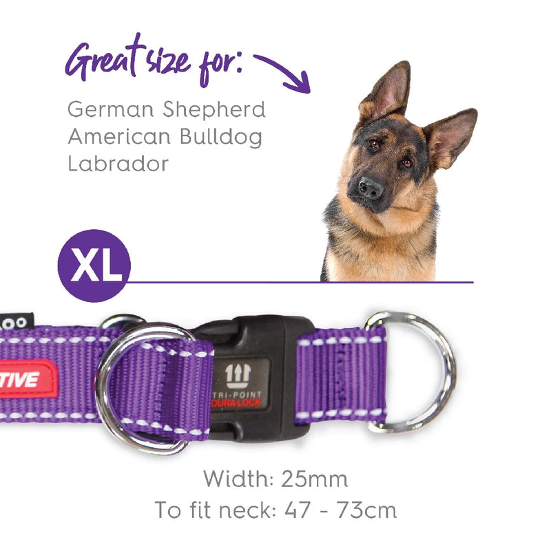 Kazoo Dog Collar Active Adjustable Purple & Lime-Dog Collars & Leads-Ascot Saddlery