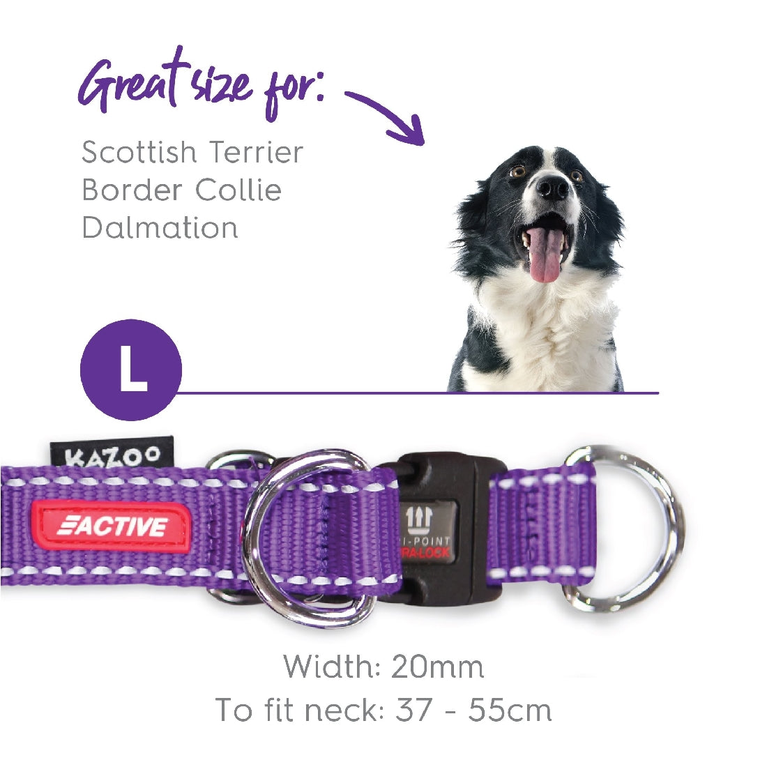 Kazoo Dog Collar Active Adjustable Purple & Lime-Dog Collars & Leads-Ascot Saddlery