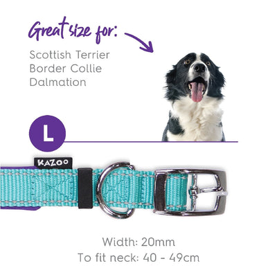 Kazoo Dog Collar Active Aqua & Purple-Dog Collars & Leads-Ascot Saddlery