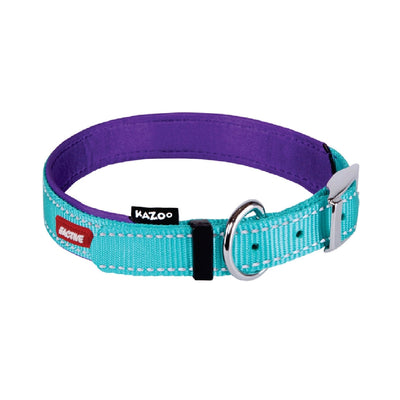 Kazoo Dog Collar Active Aqua & Purple-Dog Collars & Leads-Ascot Saddlery