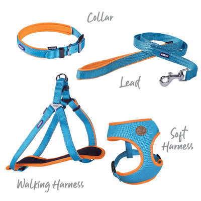 Kazoo Dog Collar Active Ocean Sunrise-Dog Collars & Leads-Ascot Saddlery
