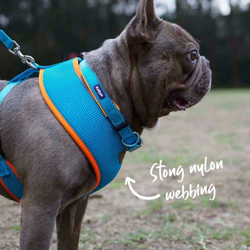 Kazoo Dog Collar Active Ocean Sunrise-Dog Collars & Leads-Ascot Saddlery