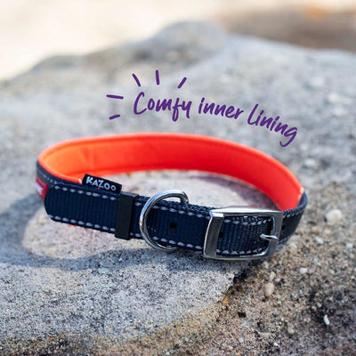 Kazoo Dog Collar Active Slate & Orange-Dog Collars & Leads-Ascot Saddlery