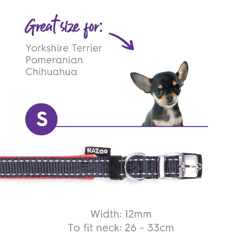 Kazoo Dog Collar Active Slate & Orange-Dog Collars & Leads-Ascot Saddlery