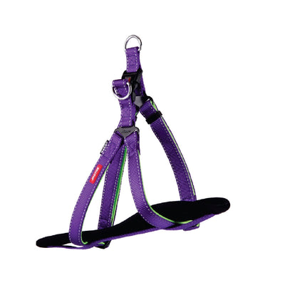 Kazoo Dog Harness Active Purple & Lime-Dog Collars & Leads-Ascot Saddlery