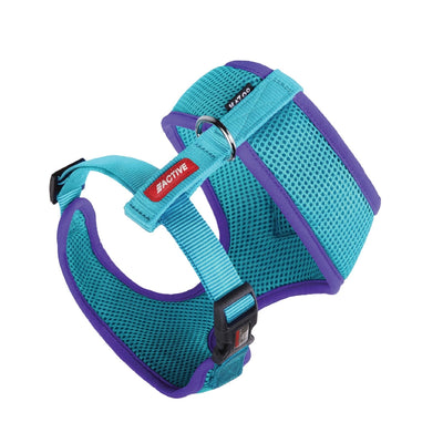 Kazoo Dog Harness Active Soft Aqua & Purple-Dog Collars & Leads-Ascot Saddlery