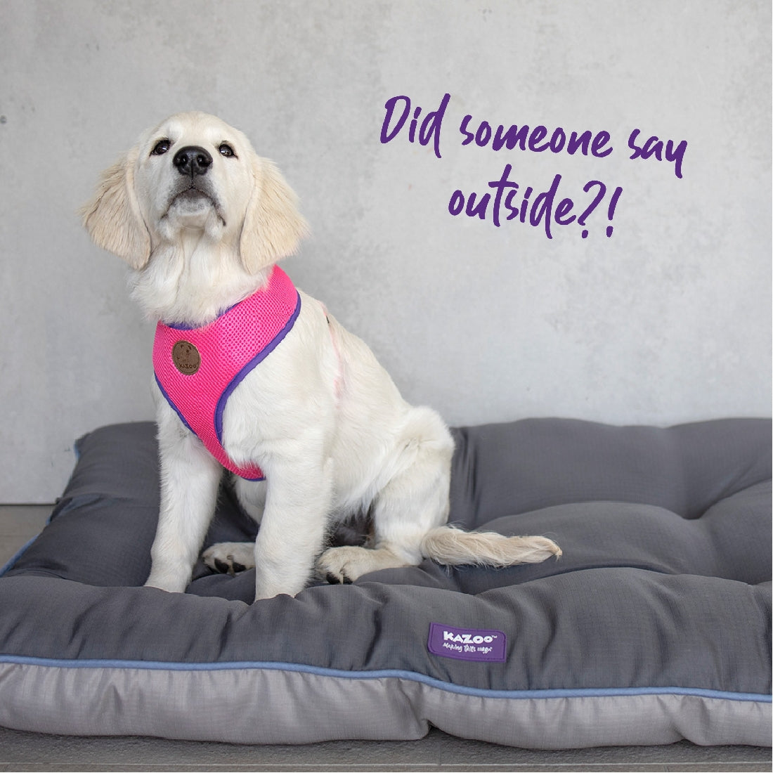 Kazoo Harness Active Soft Bloom Burst