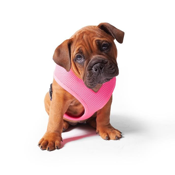 Kazoo Dog Harness Soft Classic Pink-Dog Collars & Leads-Ascot Saddlery