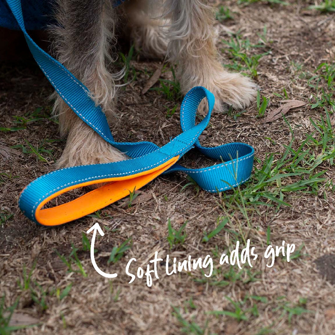 Kazoo Dog Leash Active Ocean Sunrise 1800mm-Dog Collars & Leads-Ascot Saddlery