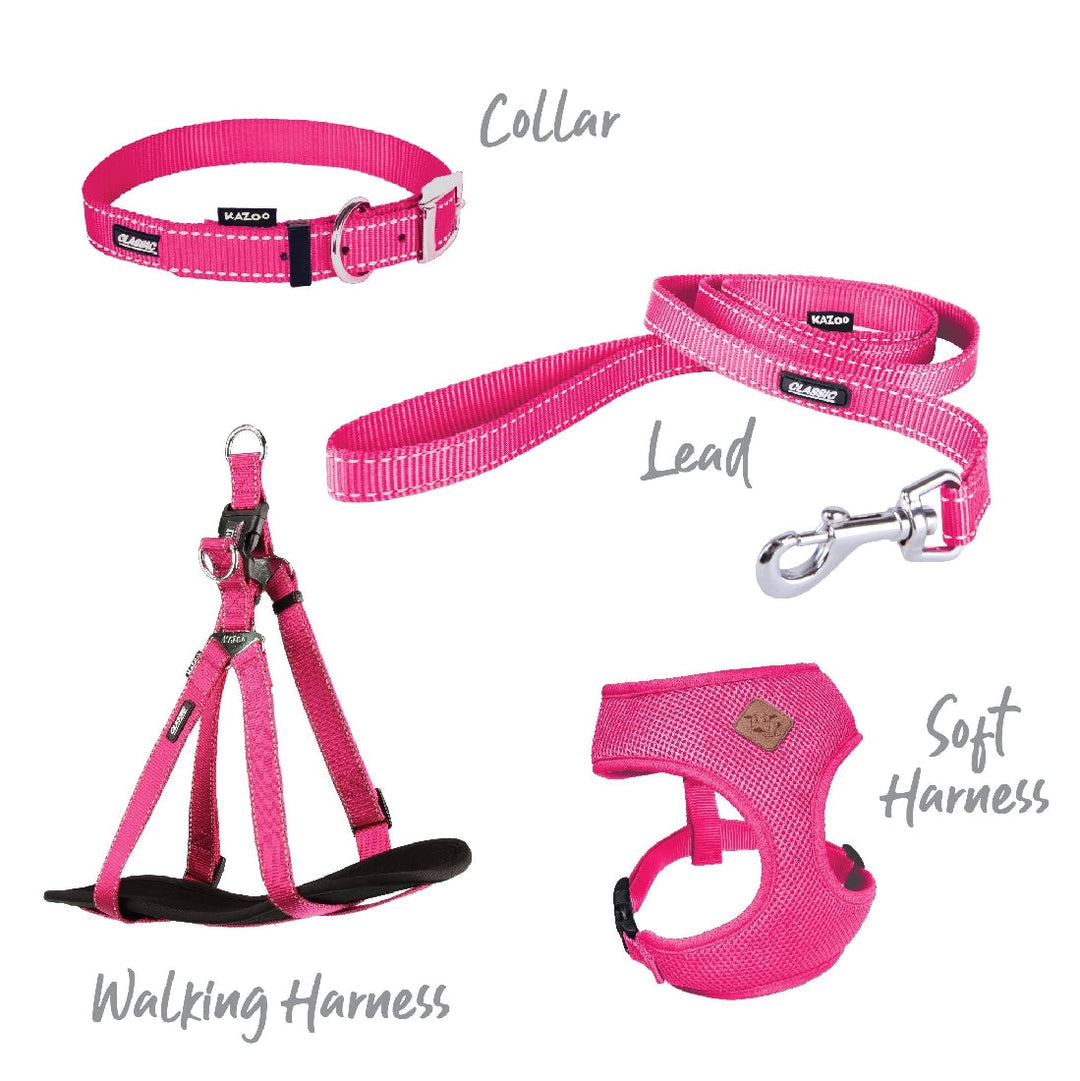 Kazoo Dog Leash Classic Pink 1800mm-Dog Collars & Leads-Ascot Saddlery