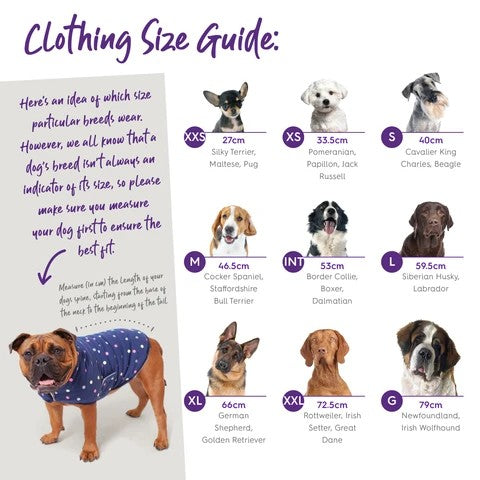 Kazoo Dog Rug Aussie Oilskin Black-Dog Rugs & Fashion-Ascot Saddlery