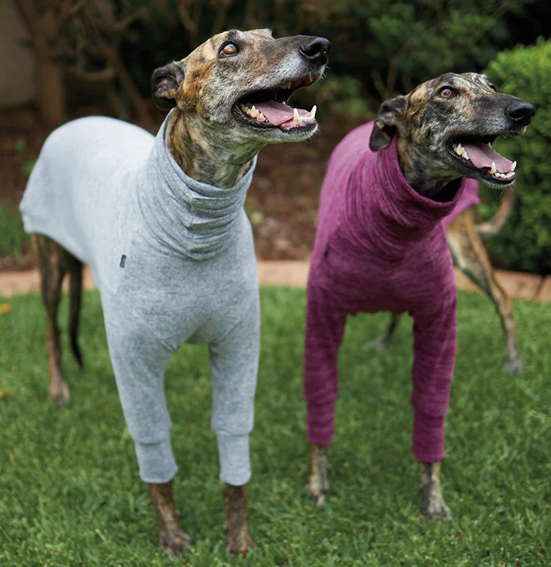 Kazoo Dog Rug Greyhound Softie Grey-Dog Rugs & Fashion-Ascot Saddlery