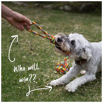 Kazoo Dog Toy Braided Rope Sling Knot Ball-Dog Toys-Ascot Saddlery