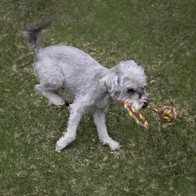 Kazoo Dog Toy Braided Rope Sling Knot Ball-Dog Toys-Ascot Saddlery