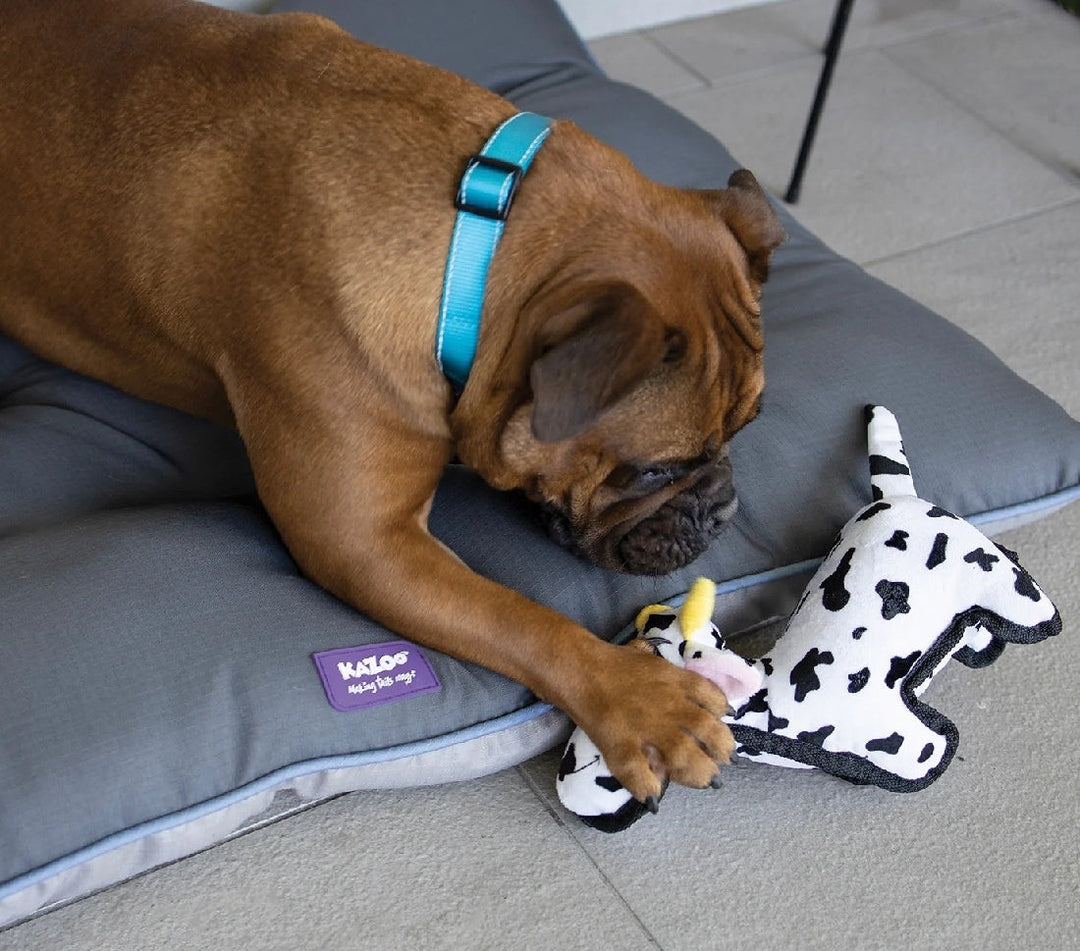 Kazoo Dog Toy Tough Cow-Dog Toys-Ascot Saddlery